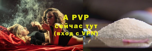 ешки Снежинск