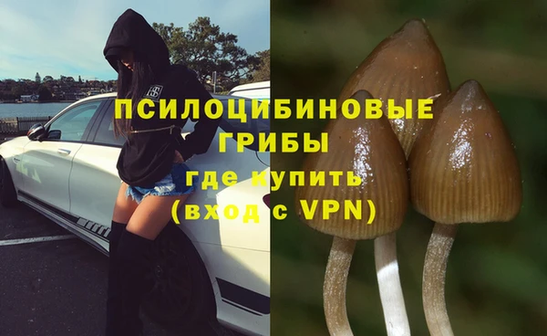 бошки Слюдянка