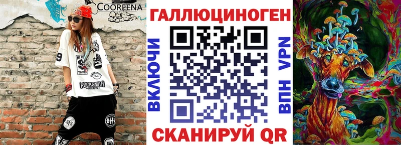Псилоцибиновые грибы прущие грибы  где продают наркотики  Кашин 